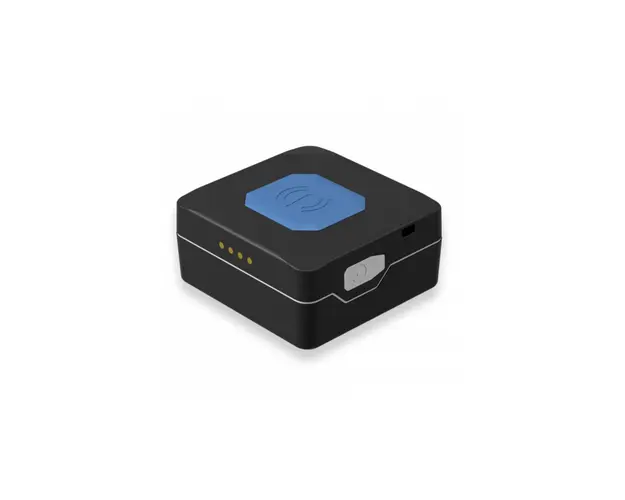 Mini localizator GPS Teltonika TMT250 2G, bluetooth, buton de panica, acumulator 800 mAh