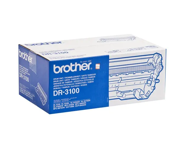 Drum Brother DR3100