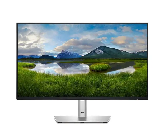 Monitor LED DELL P2425H 23.8 inch FHD IPS 5 ms 100 Hz