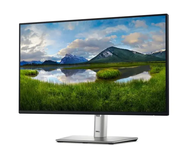 Monitor LED DELL P2425HE 23.8 inch FHD IPS 5 ms 100 Hz USB-C