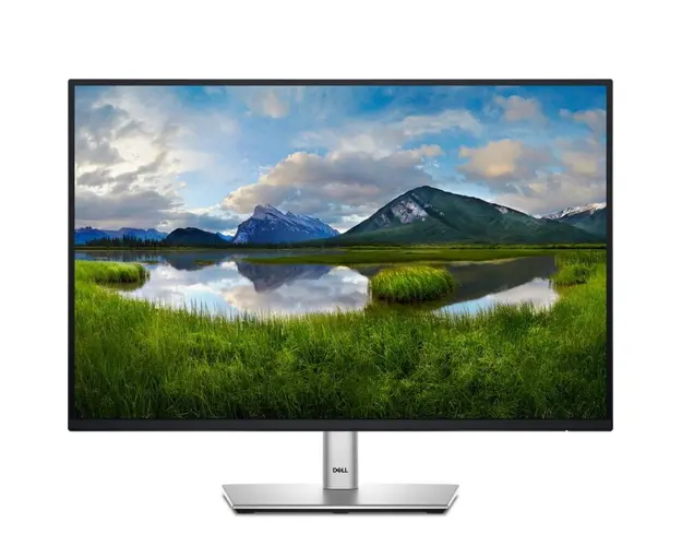 Monitor LED DELL P2425E 24.1 inch WUXGA IPS 5 ms 100 Hz USB-C