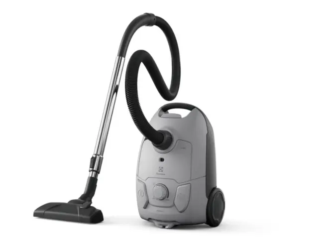 Aspirator cu sac EB31C1UG, 3L, 750 W, Putere aspirare 203 W, Gri urban