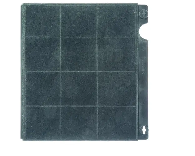 Filtru carbon standard Electrolux