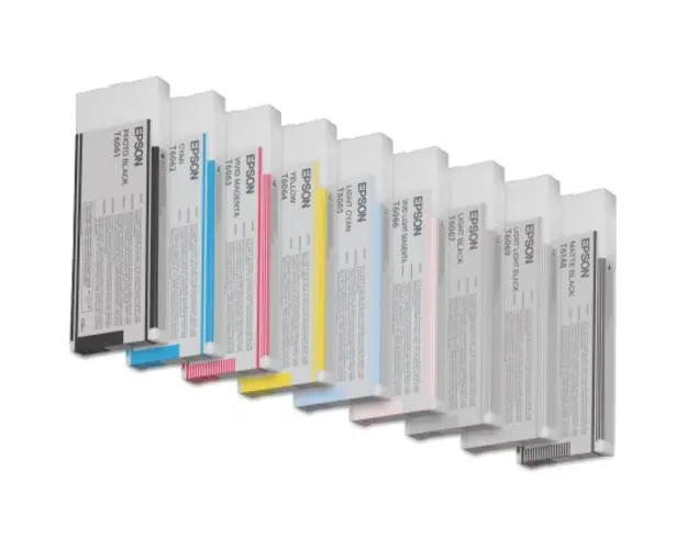 Epson Cartus T606900 Light Black 220ml