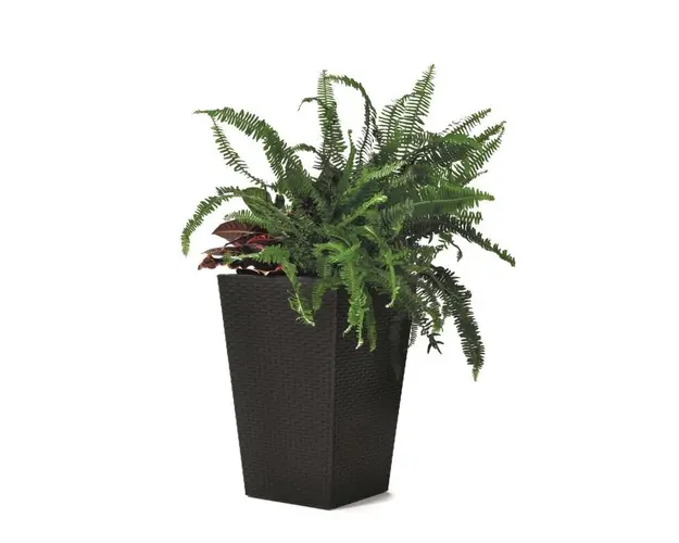 Ghiveci imitatie ratan fara farfurie Rattan M, 55.4 L, antracit
