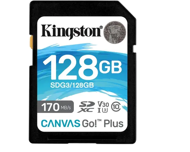 Card de memorie SD Kingston Canvas GO Plus, 128GB, Clasa 10, UHS-I