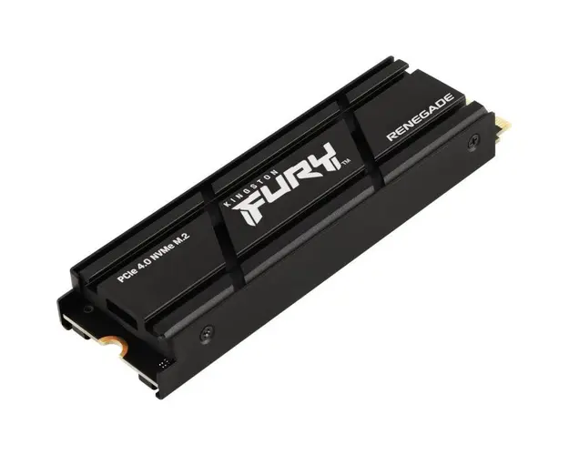 SSD Renegade, M2-2280, 2TB, PCI Express 4.0 x4 NVMe, Heatsink