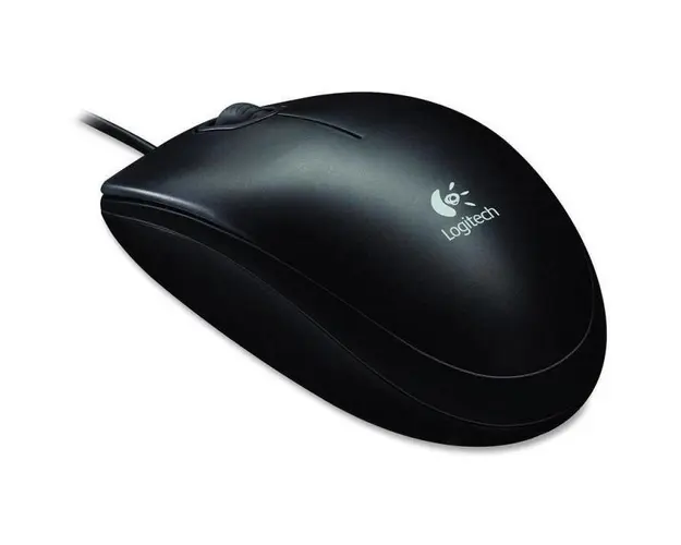 Mouse USB B100