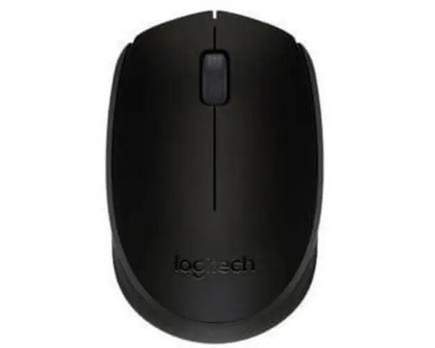 Mouse Wireless B170