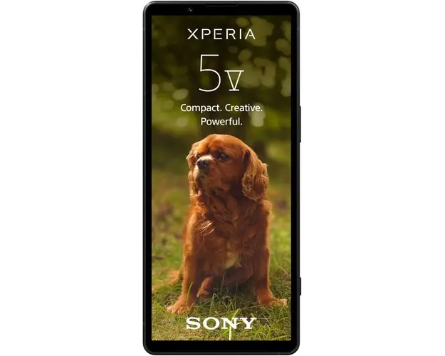 Telefon mobil Sony Xperia 5 V, Dual SIM, 8GB RAM, 128GB, 5G, Negru