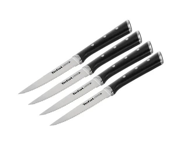Set de 4 cutite pentru friptura Tefal Ingenio Ice, Force 11 cm