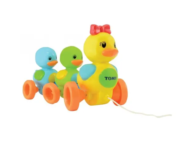 Ratustele plimbarete