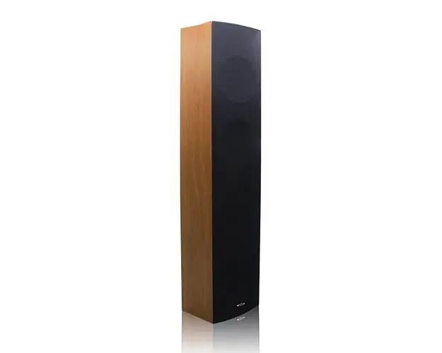 Boxa coloana PA de interior, 40W, 100V, DSP403II