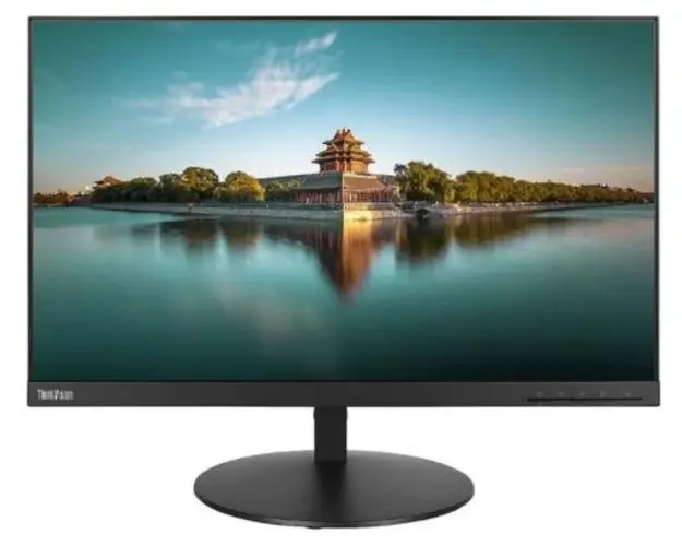 Monitor IPS LED Lenovo Thinkvision 23.8inch P24q-20, QHD (2560 x 1440), HDMI, DisplayPort (Negru)
