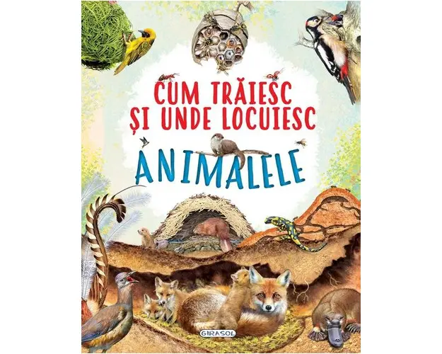 Cum traiesc si unde locuiesc animalele