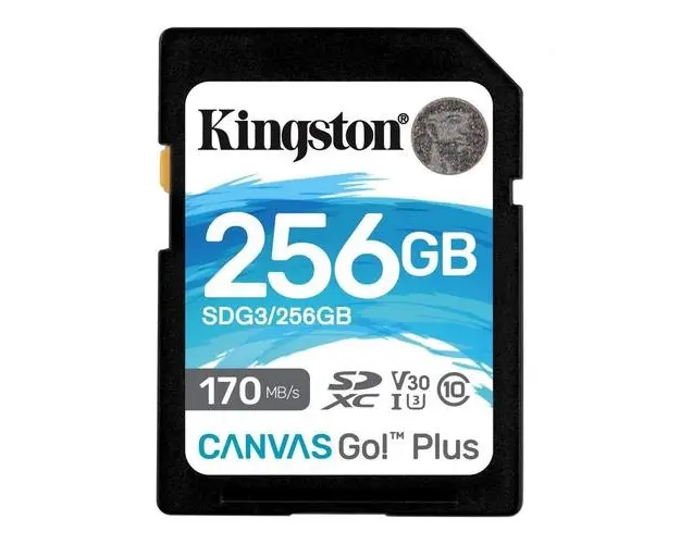 Card de Memorie SD Kingston Canvas GO Plus, 256GB, Class 10