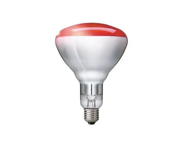 Bec InfraRosu Industrial Philips, E27, 250W, 230V, lumina calda, dimabil, incandescent