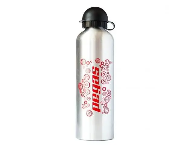 Bidon Apa Pegas, 750ml, Argintiu