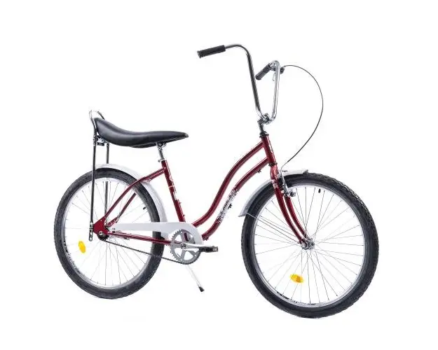 Bicicleta Pegas Strada 2 otel, 1 viteza, Visiniu Cochet