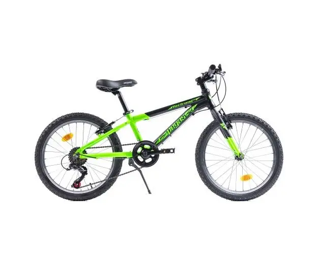 Bicicleta Pegas Drumet 20 inch (Negru/Verde)