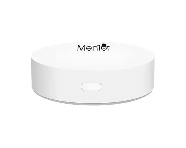 Hub Gateway Unitate Centrala Smart wireless Mentor TSW011 ZigBee 3.0 Premium
