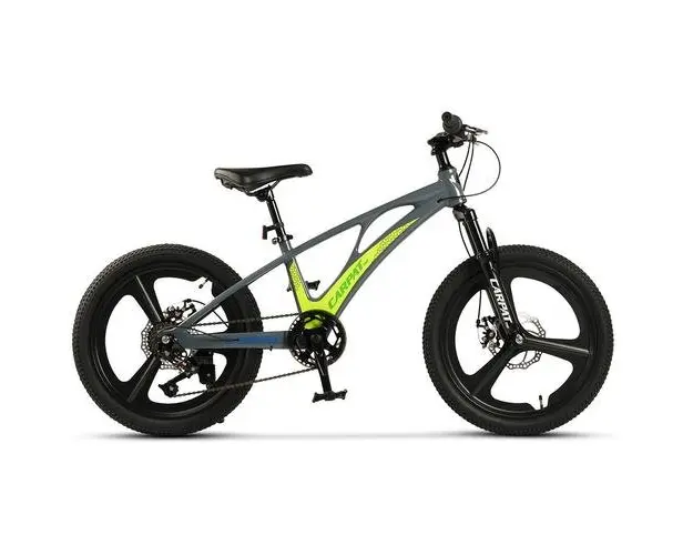 ﻿﻿Bicicleta Copii MTB Carpat C20343A, roti 20inch, Gri/Verde