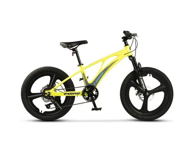 ﻿﻿Bicicleta Copii MTB Carpat C20343A, roti 20inch, Galben/Albastru