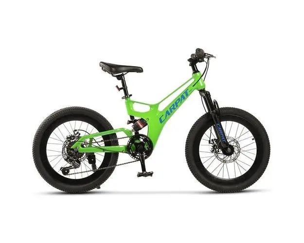 Bicicleta Copii MTB-FS Carpat C20344A, roti 20inch, Verde/Albastru