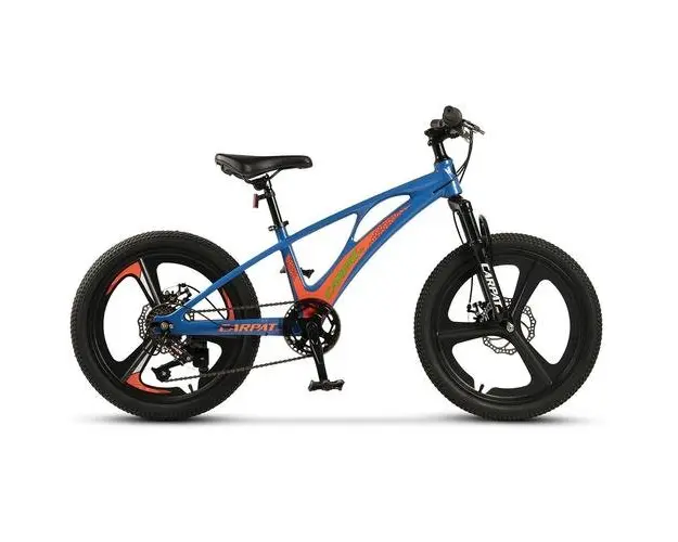 ﻿﻿Bicicleta Copii MTB Carpat C20343A, roti 20inch, Albastru/Portocaliu