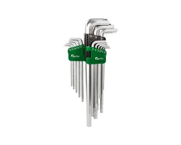 Set 18 surubelnite imbus Fortis 4317784729918, 1.5-10/T10-T50