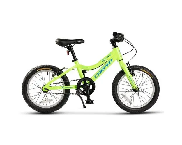 ﻿﻿Bicicleta Copii 4-6 ani Carpat C16208C 16inch, Cric, Frane V-Brake, Roti 16 inch, Verde