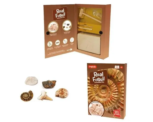 Kit paleontologie Descopera fosile