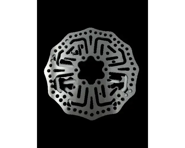 Disc frana pentru trotineta electrica Kugoo G2 Pro