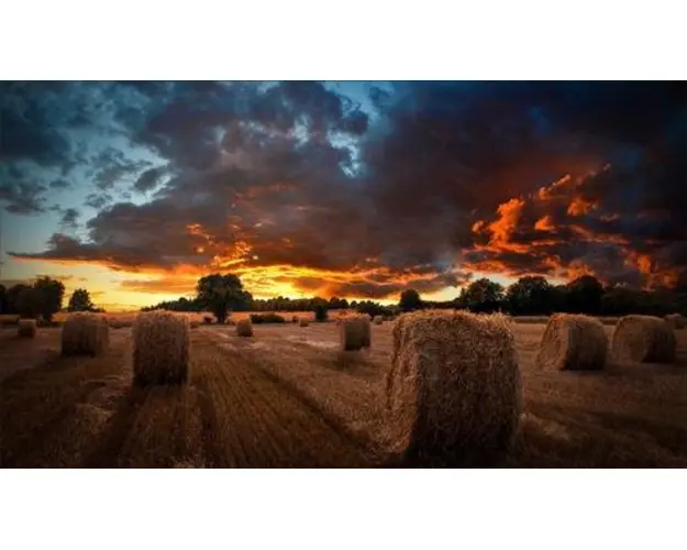 Display Profesional IPS LED Samsung 55inch VM55B-U, Full HD (1920 x 1080), DVI, HDMI, DisplayPort (Negru) 