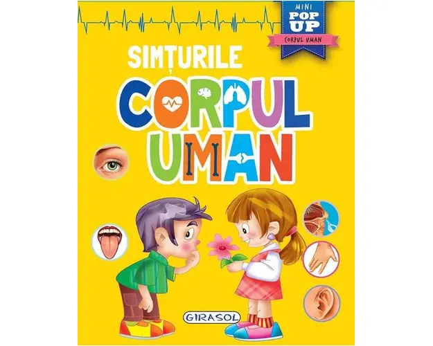 Corpul uman Girasol Simturile
