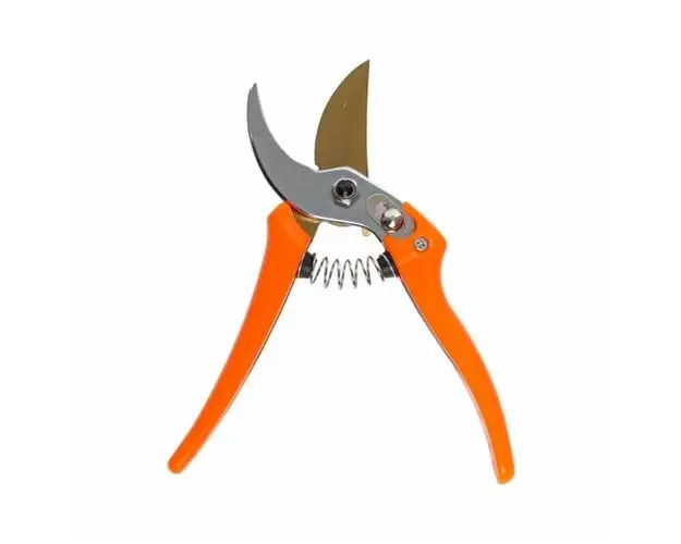 Foarfec vie Micul Ferimer GF-1703, cromat, 22mm