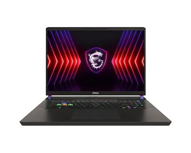 Laptop Gaming MSI Vector 17 HX A14VIG (Procesor Intel® Core™ i9-14900HX (36M Cache, up to 5.80 GHz), 17inch QHD+ 240Hz, 32GB, 1TB SSD, NVIDIA GeForce RTX 4090 @16GB, DLSS 3.0, Negru/Gri)