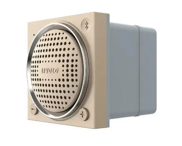 Modul Boxa Bluetooth Livolo (Auriu)