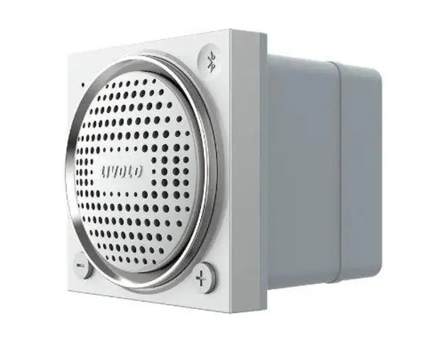 Modul Boxa Bluetooth Livolo (Gri)