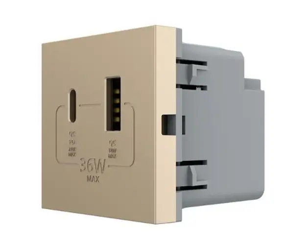 Modul Priza USB-A + USB-C LIVOLO  Serie Noua (Auriu)