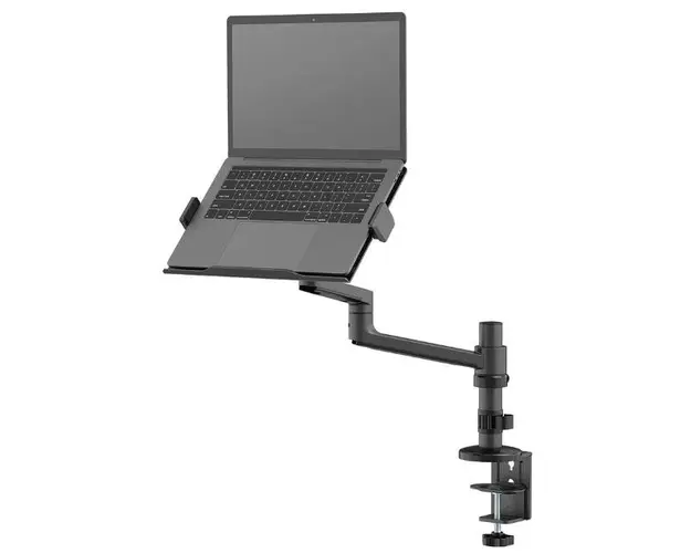 Suport laptop petru birou Neomounts DS20-425BL1, 11.6inch-17.3inch, 5 kg, VESA 75x75, 100x100 (Negru)