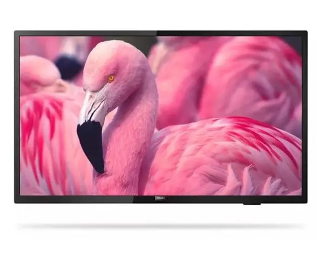 Televizor Profesional LED Philips 109 cm (43inch) 43HFL4014/12, Full HD, CI+