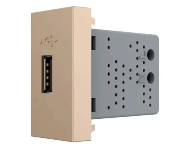Priza USB Livolo (Auriu)