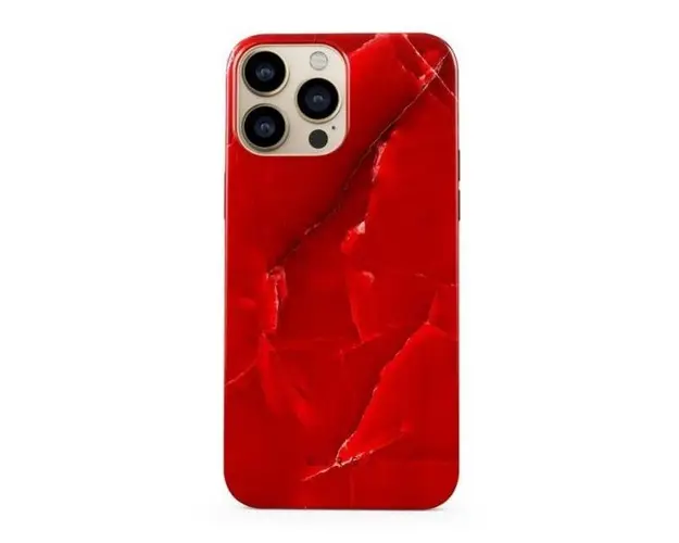 Protectie Spate Burga Dual Layer Wild Blaze pentru Apple iPhone 13 Pro (Multicolor)