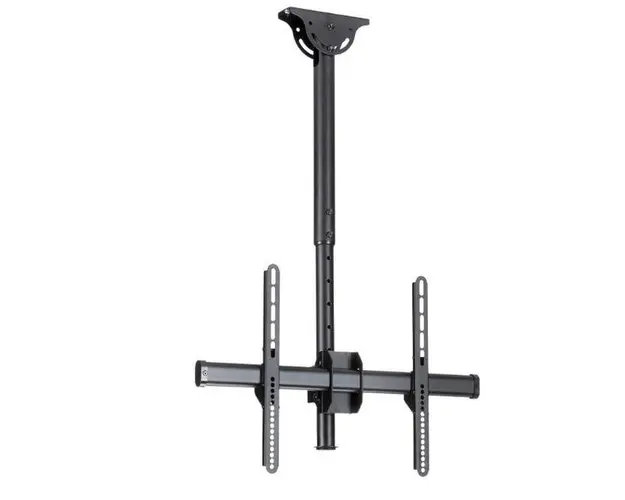 Suport TV de tavan StarTech FPCEILPTBSP, 32inch - 75inch, 50 kg (Negru)
