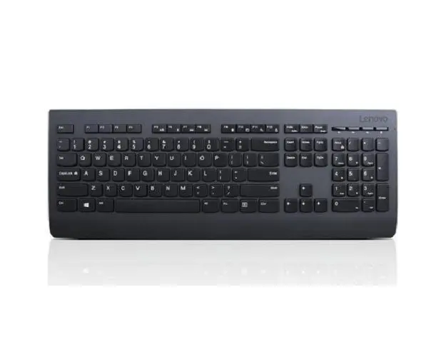Tastatura Wireless Lenovo Professional, USB, US (Negru)