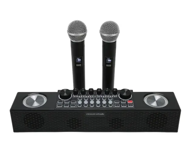 Sistem de Mixare Karaoke + 2 Microfon fara Fir