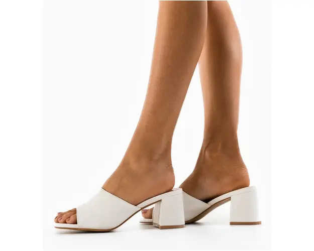 Saboti dama Vijaya Albi