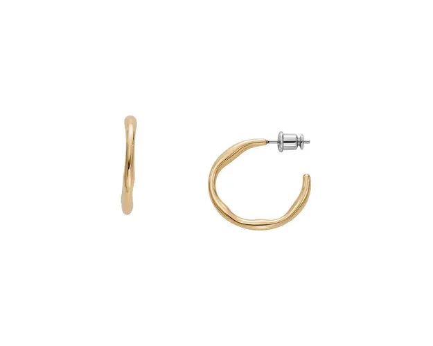 Skagen cercei SKJ1722710