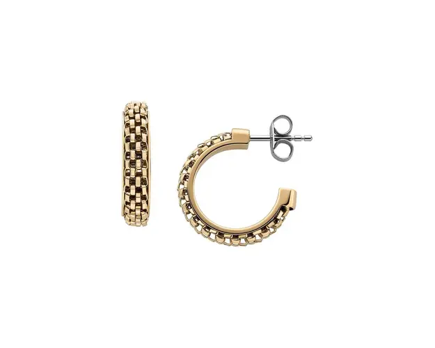 Skagen cercei SKJ1858710